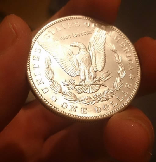 1904-Morgan-Grade?